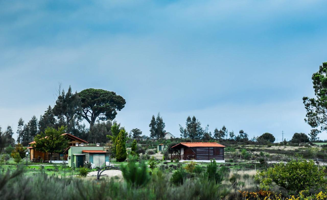 Vila Da Laje - Onde A Natureza O Envolve - Serra Da Estrela โอลีเวราดวสปิตาล ภายนอก รูปภาพ