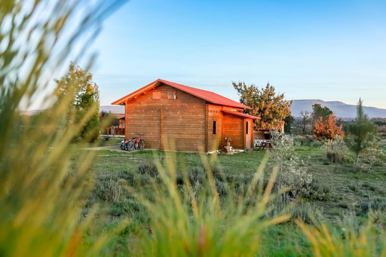 Vila Da Laje - Onde A Natureza O Envolve - Serra Da Estrela โอลีเวราดวสปิตาล ภายนอก รูปภาพ