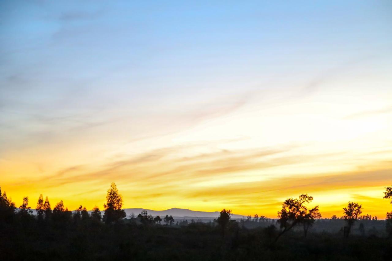 Vila Da Laje - Onde A Natureza O Envolve - Serra Da Estrela โอลีเวราดวสปิตาล ภายนอก รูปภาพ